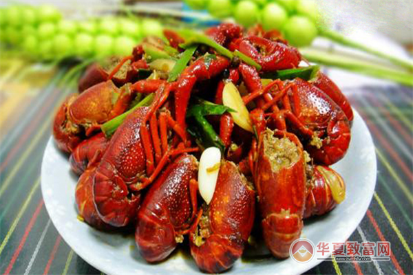 阿蛋龍蝦 技術推廣引領行業新潮，輕松賺錢生意火